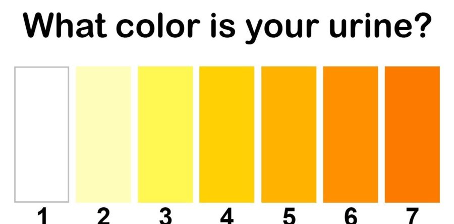 what-does-it-mean-if-your-urine-changes-color-the-meaning-of-color